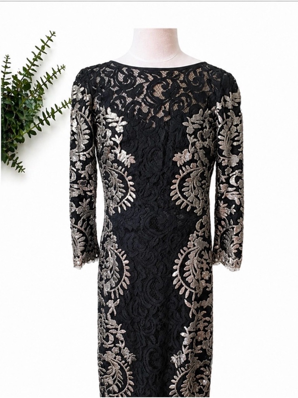 Tadashi Shoji Evening Dress